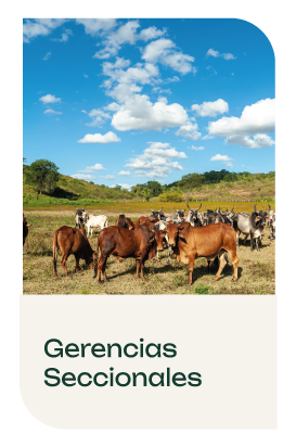 Gerencias Seccionales